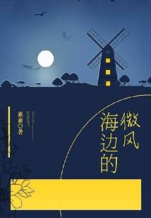 穿越之木棉花开