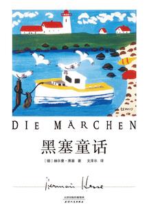 印度洋上的阴谋