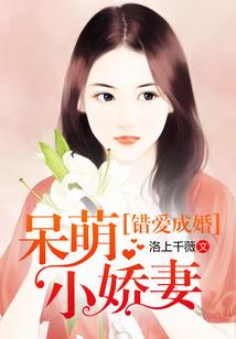 云哲回忆录