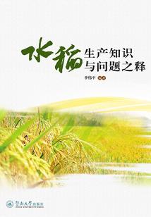 圣翼传说