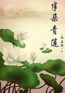满城花开之旅客