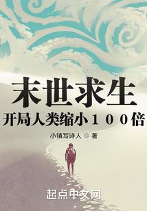 乱世迷途
