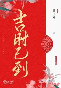 神奇宝贝：地面大师之路