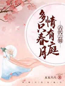 城市小高手