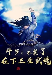 愚蠢粉丝