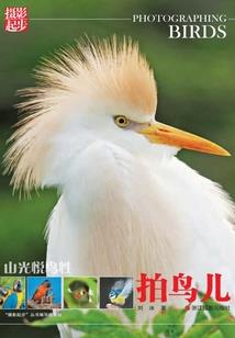 剑舞酒歌