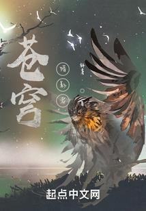 试天高