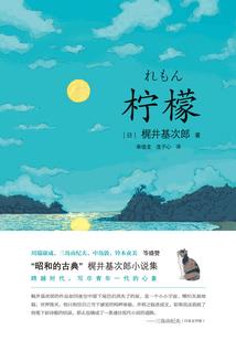 重生之傲嬌追老公