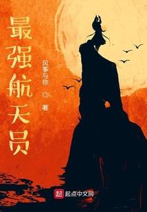天启——巅峰之路