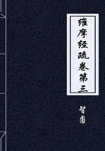 盗墓皇
