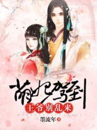 王者荣耀之高手无敌