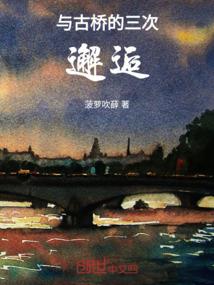 盛京堇色
