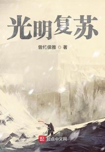 二十年的失去