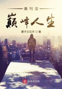 我与老板的那些事