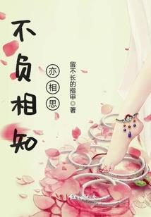 杀手穿越：转世为王