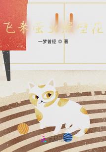 曙光十三城