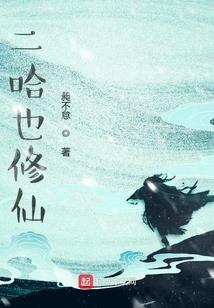 双丹传说
