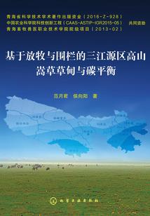 灵魂双子