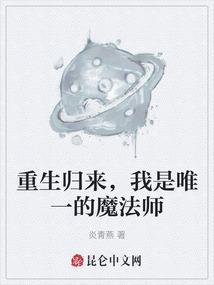 四爷独宠：试婚宫女