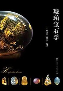 情深不改流年错