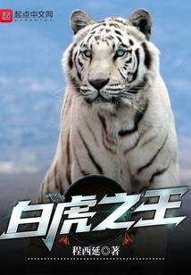 聆听我的公主