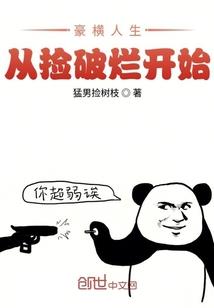 调查组日志