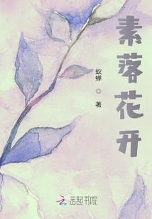 雨蝶梦
