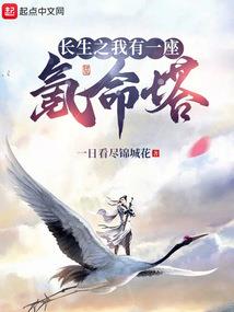无限贼男