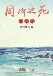 海贼王之云上漫游