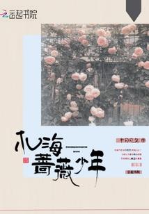 为你奏一世倾歌