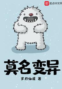 少绾传