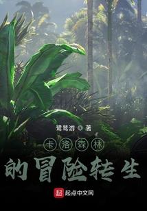无双之铠