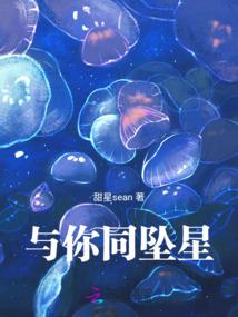 钢铁城歌伦比娅