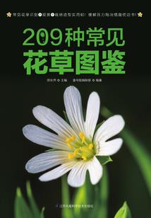 我家神后又掉线了