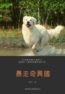 时光微微好