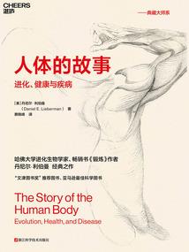 新仙女座流星