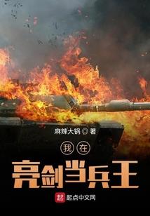 我和我的虚伪正义系统