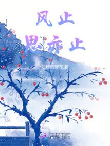 锦城朔风