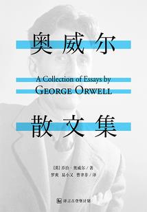 海贼屠我全村我怒开双神威