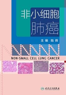 睥睨九天
