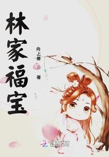乘风而起——鹰与狼