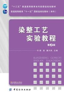 不平凡的天使