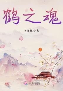 天地八皇