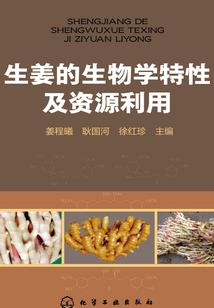 旷世奇恋