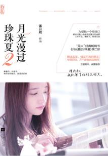不止八枚