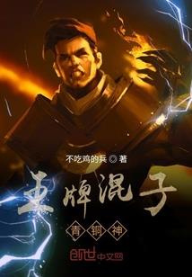 穿越三国之皇帝子龙