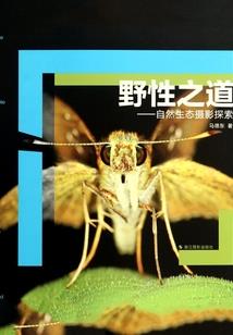 唐萌