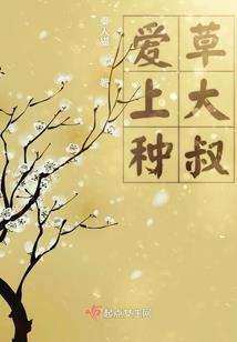 肉橙子搞不懂亲戚