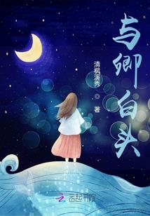 大话西游的奇妙之旅