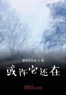 霄寒重明录